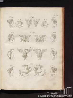 Pl. 34.