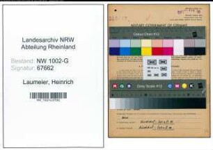 Entnazifizierung Heinrich Laumeier, geb. 01.04.1899 (Glasreiniger)