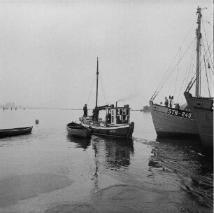 Fischereigenossenschaft Stralsund (FGS). Fischkutter im Hafen