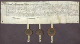Erbhuldigungsrevers der Stadt Baden und anderer zu deren Stadt und die Policey Gehörige gegen die Brüder Markgrafen Philibert von Baden-Baden und Christoph II. von Baden-Rodemachern als deren Leibeigene
