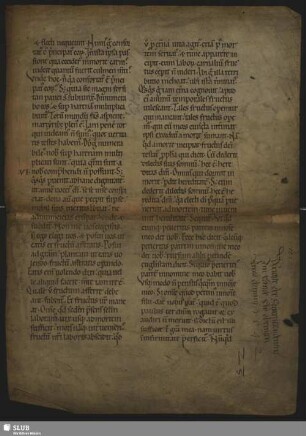 2,5: Biblia - Mscr.Dresd.R.52.p,II,Nr.5 : [Fragment]