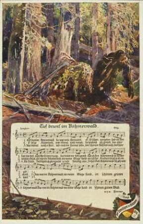 Tief drunt' im Böhmerwald.