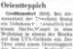 Einbrecher stahl Orientteppich