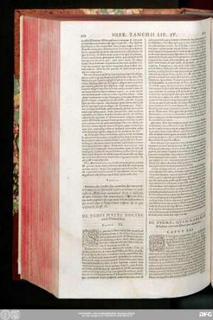 De Usibus Huius Doctrinae de Daemonibus. Caput XX.
