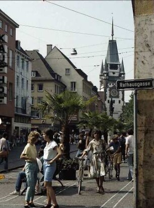 Freiburg i. Br.: Palmen in der Kaiser-Joseph-Straße