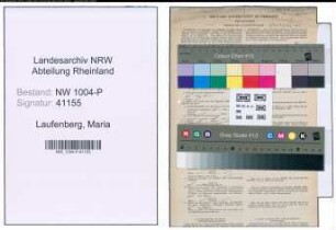 Entnazifizierung Maria Laufenberg , geb. 05.01.1886 ()