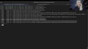 Registry native delivery of software content