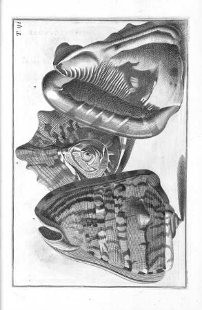Tab. 41