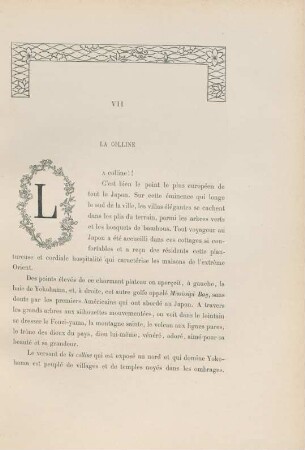 VII. La colline