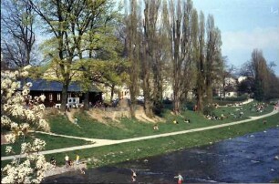 Freiburg: Lagernde an der Dreisam, von der Kronenbrücke, Vordergrund Blüten