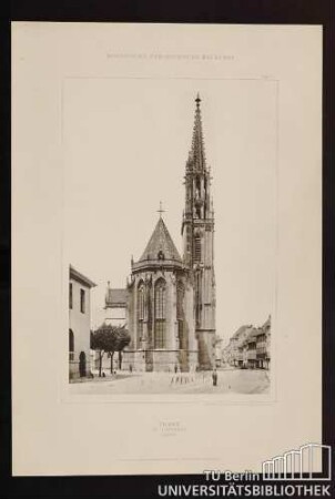 Thann St. Theobald Ostansicht