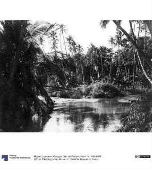 Pangani Ufer mit Palmen