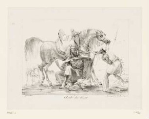 Arabe du désert