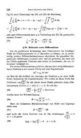 § 88. Beltramis erster Differentiator
