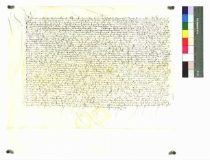Gorig Zannger, Feilenschmidt zu Rottweil, der wegen wohlverschuldeter Sachen von der Stadt Rottweil inhaftiert und wieder freigelassen wurde, schwört Urfehde.