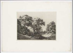 La Lisière du bois (pres Rambouillet)