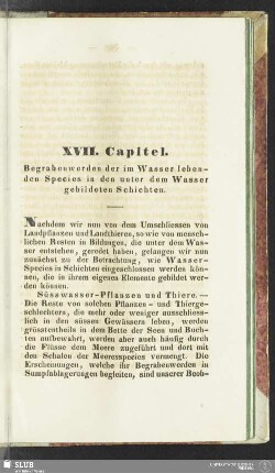 XVII. Capitel. Begrabenwerden der im Wasser lebenden Species in den unter dem Wasser gebildeten Schichten