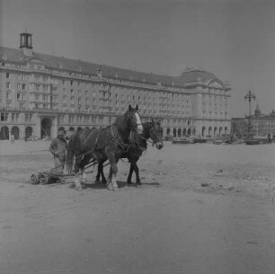 Dresden. Der Altmarkt wird planiert, ein Pferde-Gespann auf dem ehemaligen Gelände des Kaufhaus Renner