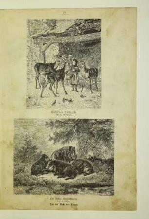 Wildhüters Töchterlein