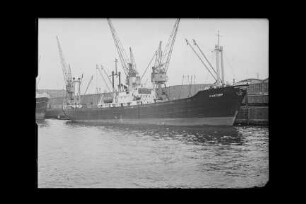 Castorp ex Possehl (1950), Frachtschiff, Lübeck Linie AG, Lübeck, Bau-Nr. 406