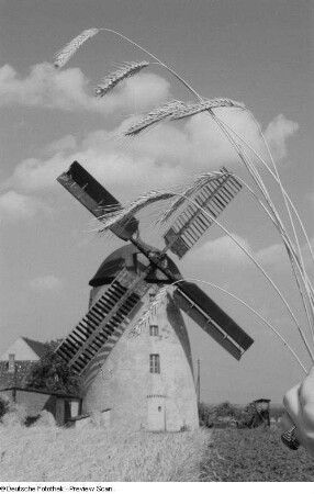 Blick auf eine Windmühle mit Ähren im Vordergrund