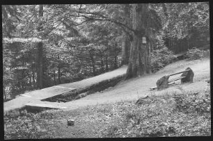 Bad Harzburg. Am Philosophenweg