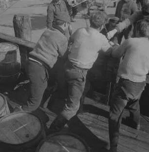 Stralsund. Fischereihafen, Fischer beim Löschen der Ladung