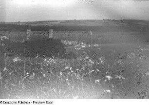 Osterzgebirge. Talsperre Lehnmühle (1927-1931). Staumauer von Nordwest