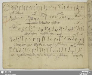 Hassler, Hans Leo: Alleluia laudem dicite Deo nostro