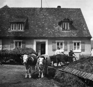 Schwaben. Bauernhaus. Ansicht mit Ochsengespann