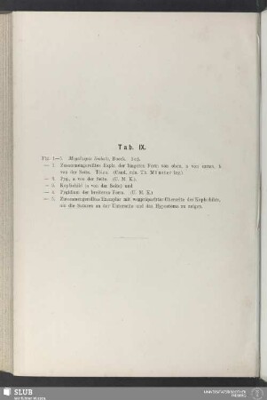 Tab. IX