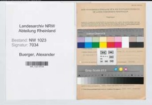 Entnazifizierung Alexander Buerger , geb. 01.03.1903 (Reg.Inspektor)