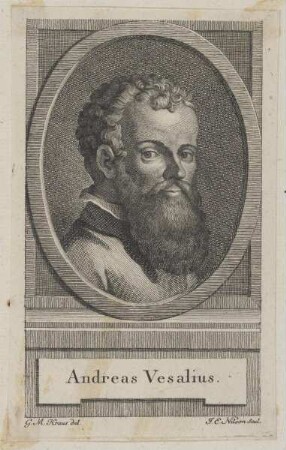 Bildnis des Andreas Vesalius