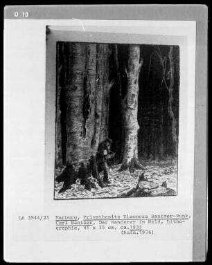 Wanderer im Wald