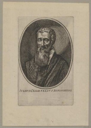 Bildnis des Ivlivs Caesar Velivs