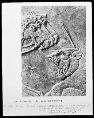 König Asurnasirpal II. auf der Löwenjagd (Wandrelief aus einem Palast in Kalach), Detail der Pferdeköpfe und des Löwenkopfs