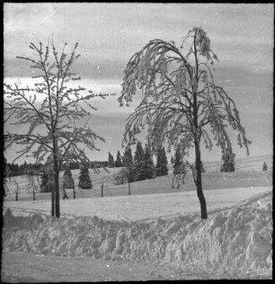 Winter im Schwarzwald