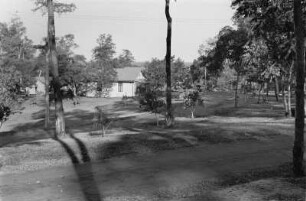 Siedlung : Blick auf Häuser und Straßen einer Siedlung