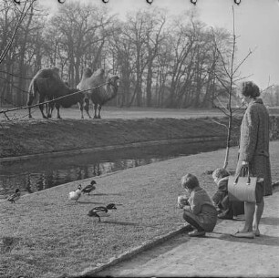 Kinder füttern Enten, 1965. SW-Foto © Kurt Schwarz.