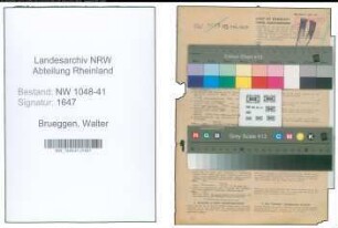 Entnazifizierung Walter Brueggen , geb. 08.03.1912 (Schlosser)