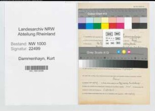 Entnazifizierung Kurt Dammenhayn, geb. 26.12.1900 (Steuerberater)