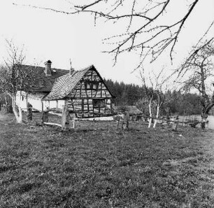 Michelstadt, Mangelsbach 11