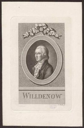 Willdenow, Karl Ludwig
