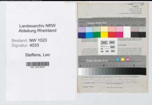 Entnazifizierung Leo Steffens , geb. 08.03.1911 (Landarbeiter)