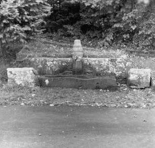 Reste der St. Leonhardskapelle und Laufbrunnen; Oberzent, Leonhardshof, Leonhardshof 7