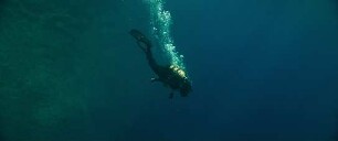 The Dive