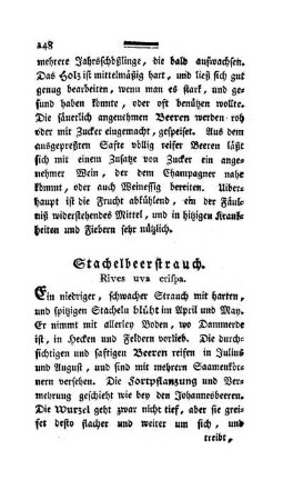 Stachelbeerstrauch. Rives uva crispa.