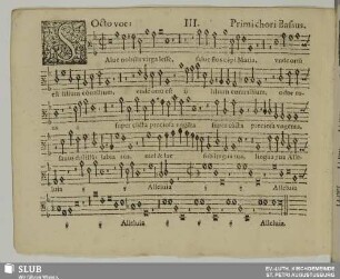 III. Salve nobilis virga Jesse