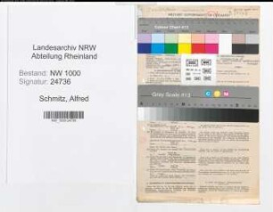 Entnazifizierung Alfred Schmitz, geb. 08.12.1903 (Versich.Angest.)