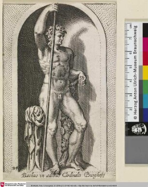 Bacchus in ædibus Cardinalis Burghesij